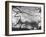 Prehistoric Cave Painting of an Animal-Ralph Morse-Framed Photographic Print