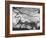 Prehistoric Cave Painting of an Animal-Ralph Morse-Framed Photographic Print