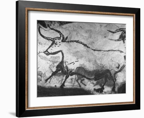 Prehistoric Cave Painting of an Animal-Ralph Morse-Framed Photographic Print