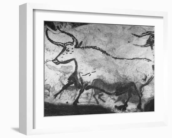 Prehistoric Cave Painting of an Animal-Ralph Morse-Framed Photographic Print