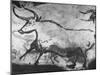 Prehistoric Cave Painting of an Animal-Ralph Morse-Mounted Photographic Print