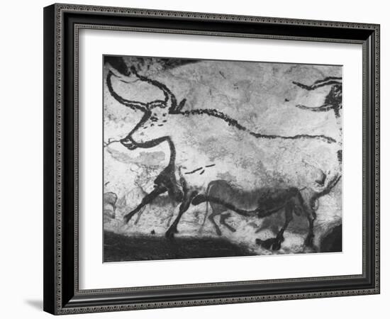 Prehistoric Cave Painting of an Animal-Ralph Morse-Framed Photographic Print