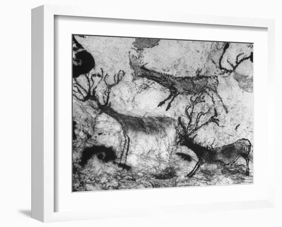 Prehistoric Cave Painting of Animals-Ralph Morse-Framed Photographic Print