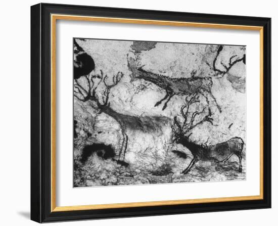 Prehistoric Cave Painting of Animals-Ralph Morse-Framed Photographic Print