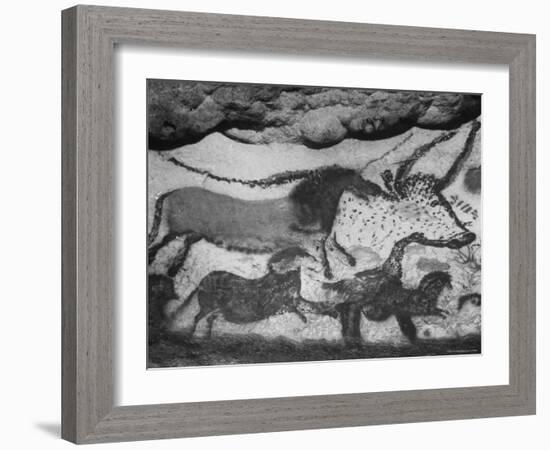 Prehistoric Cave Painting of Animals-Ralph Morse-Framed Photographic Print