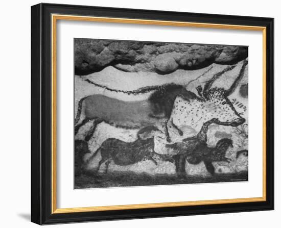 Prehistoric Cave Painting of Animals-Ralph Morse-Framed Photographic Print