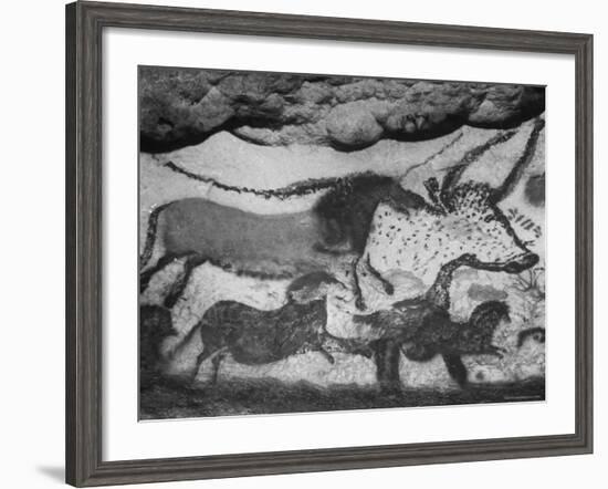 Prehistoric Cave Painting of Animals-Ralph Morse-Framed Photographic Print