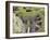 Prehistoric Dwellings at Jarlshof, Sumburgh, Shetland, Shetland Islands, Scotland, United Kingdom, -David Lomax-Framed Photographic Print