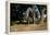 Prehistoric Elephant, Artwork-Mauricio Anton-Framed Premier Image Canvas