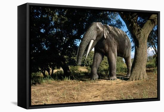 Prehistoric Elephant, Artwork-Mauricio Anton-Framed Premier Image Canvas