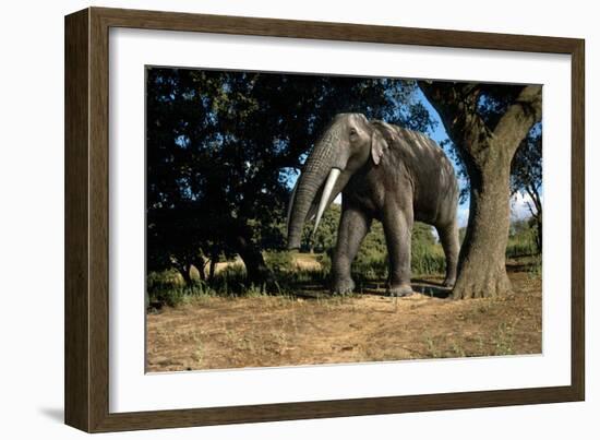 Prehistoric Elephant, Artwork-Mauricio Anton-Framed Photographic Print