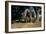 Prehistoric Elephant, Artwork-Mauricio Anton-Framed Photographic Print