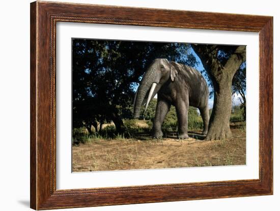 Prehistoric Elephant, Artwork-Mauricio Anton-Framed Photographic Print