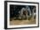 Prehistoric Elephant, Artwork-Mauricio Anton-Framed Photographic Print