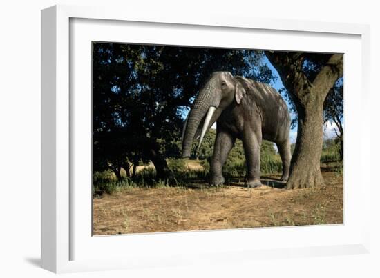 Prehistoric Elephant, Artwork-Mauricio Anton-Framed Photographic Print