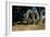 Prehistoric Elephant, Artwork-Mauricio Anton-Framed Photographic Print