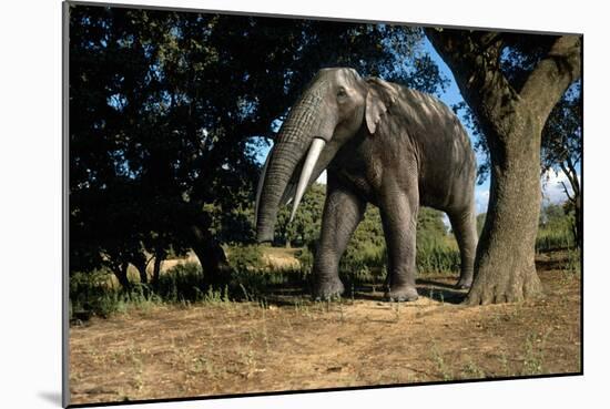 Prehistoric Elephant, Artwork-Mauricio Anton-Mounted Photographic Print