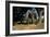 Prehistoric Elephant, Artwork-Mauricio Anton-Framed Photographic Print