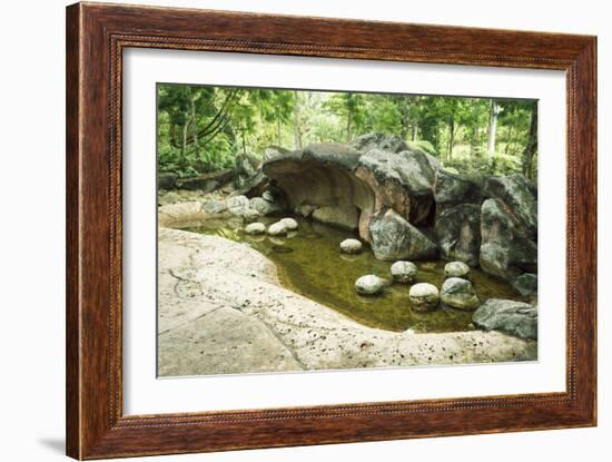 Prehistoric Landscape-Yury Zap-Framed Photographic Print