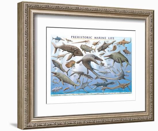 Prehistoric Marine Life-null-Framed Premium Giclee Print