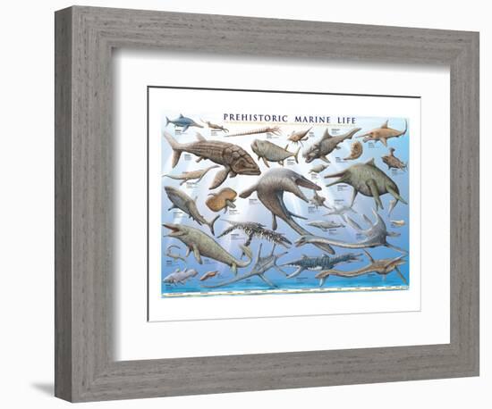 Prehistoric Marine Life-null-Framed Premium Giclee Print