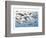 Prehistoric Marine Life-null-Framed Premium Giclee Print