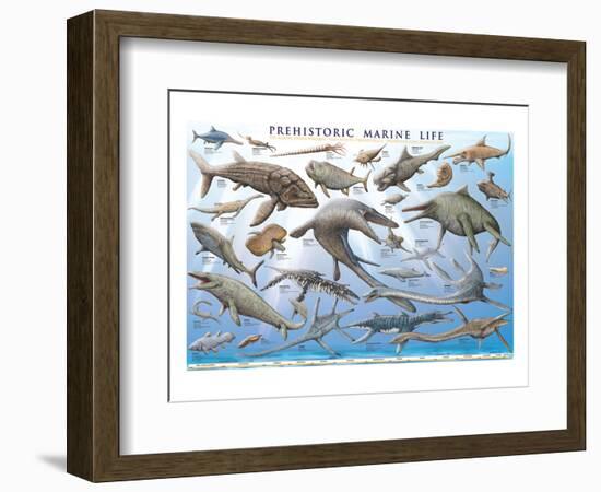 Prehistoric Marine Life-null-Framed Premium Giclee Print