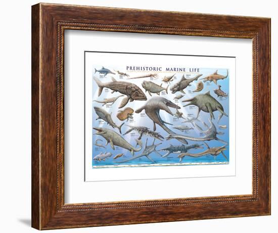 Prehistoric Marine Life-null-Framed Premium Giclee Print