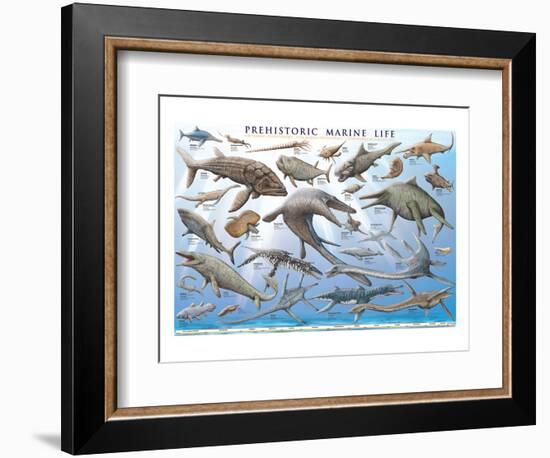 Prehistoric Marine Life-null-Framed Premium Giclee Print