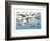 Prehistoric Marine Life-null-Framed Premium Giclee Print