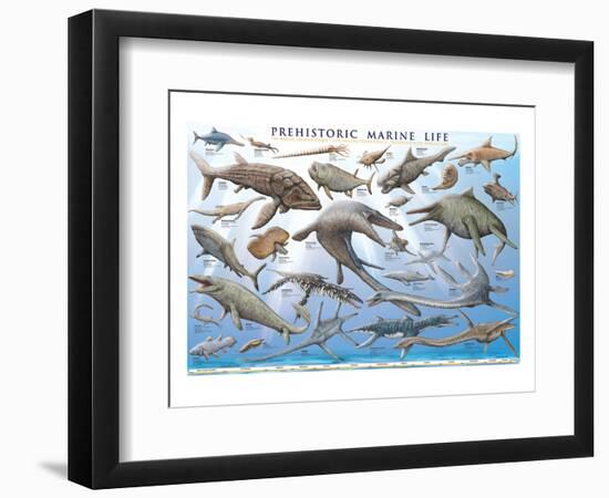 Prehistoric Marine Life-null-Framed Premium Giclee Print