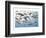 Prehistoric Marine Life-null-Framed Premium Giclee Print