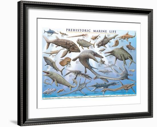 Prehistoric Marine Life--Framed Premium Giclee Print