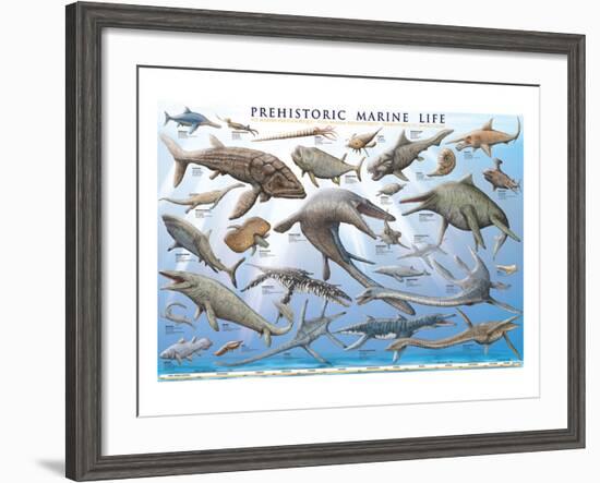 Prehistoric Marine Life-null-Framed Premium Giclee Print