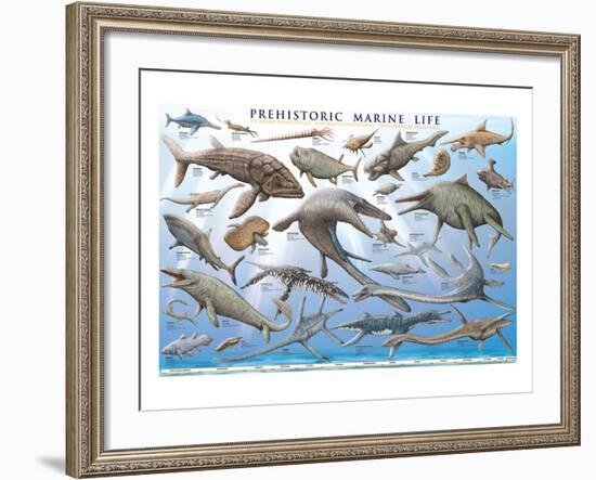 Prehistoric Marine Life-null-Framed Premium Giclee Print