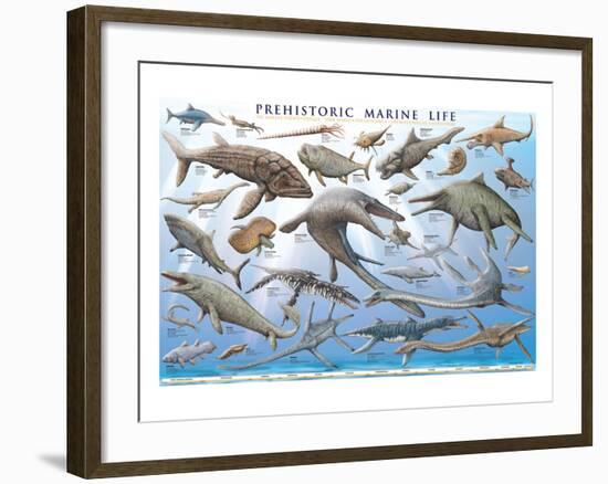 Prehistoric Marine Life-null-Framed Premium Giclee Print