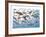 Prehistoric Marine Life-null-Framed Premium Giclee Print