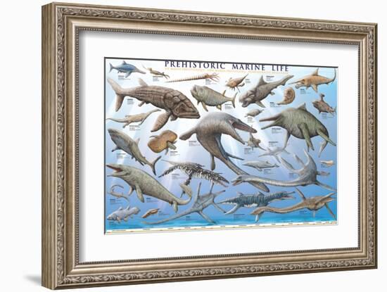 Prehistoric Marine Life-null-Framed Art Print