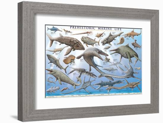 Prehistoric Marine Life--Framed Art Print