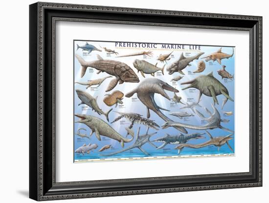 Prehistoric Marine Life-null-Framed Art Print