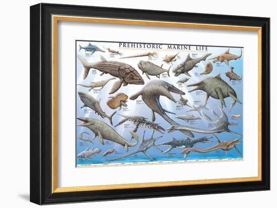 Prehistoric Marine Life-null-Framed Art Print