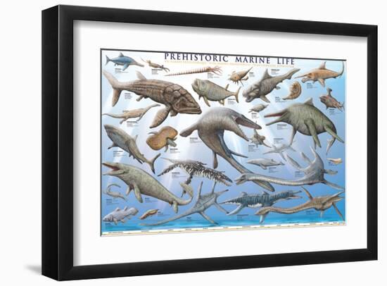 Prehistoric Marine Life--Framed Art Print