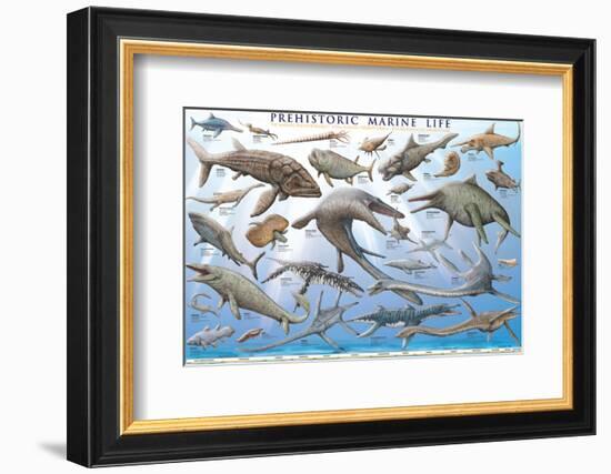 Prehistoric Marine Life-null-Framed Art Print