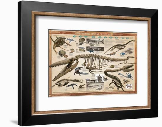 Prehistoric Marine Reconstruct-null-Framed Premium Giclee Print