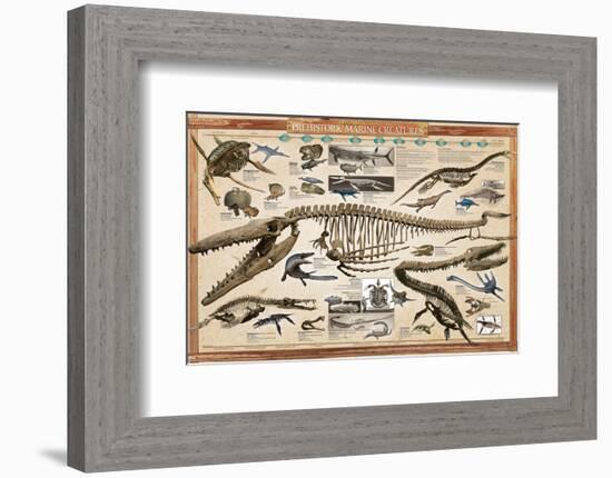 Prehistoric Marine Reconstruct-null-Framed Premium Giclee Print