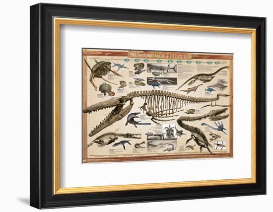 Prehistoric Marine Reconstruct-null-Framed Premium Giclee Print