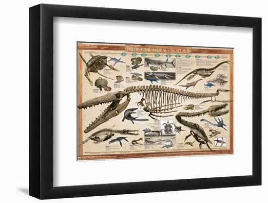 Prehistoric Marine Reconstruct-null-Framed Premium Giclee Print