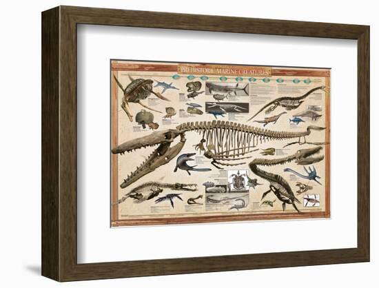 Prehistoric Marine Reconstruct-null-Framed Premium Giclee Print