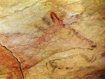 Stag from the Caves of Altamira, C.15,000 BC (Cave Painting) (Detail of 42412)-Prehistoric Prehistoric-Framed Giclee Print