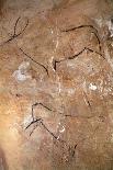 Stag from the Caves of Altamira, C.15,000 BC (Cave Painting) (Detail of 42412)-Prehistoric Prehistoric-Framed Giclee Print